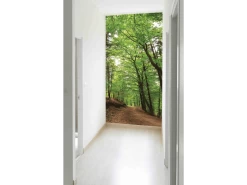 Forest Path Wallpaper