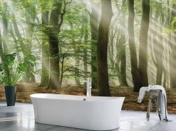 Forest Scene Wallpaper