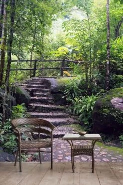 Forest Stairs Wallpaper