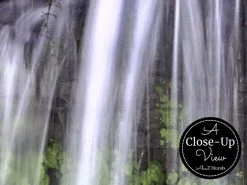 Forest Waterfall Wallpaper -Wallpaper Mural Shop Forest Waterfall Wallpaper Close up About Murals