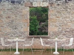 Forest Window View Wallpaper