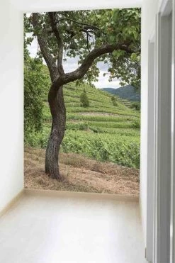 Fruit Tree Wallpaper