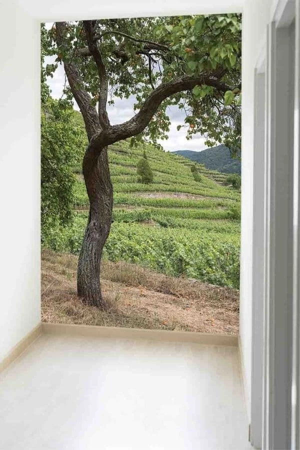 Fruit Tree Wallpaper