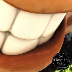 Funny Giraffe Wallpaper 6 Funny Giraffe Wallpaper -Wallpaper Mural Shop Funny Giraffe Wallpaper Close up About Murals