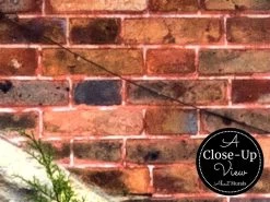 Garden Bridge Wallpaper -Wallpaper Mural Shop Garden Bridge Wallpaper Close up About Murals