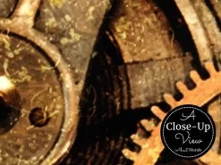 Gear Wallpaper -Wallpaper Mural Shop Gear Wallpaper Close up About Murals