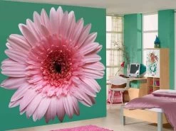 Gerbera Flower Wallpaper