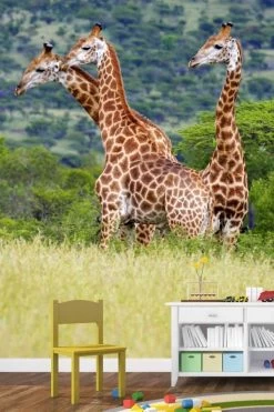 Giraffes Wall Mural