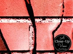 Graffiti Flower Wallpaper 6 Graffiti Flower Wallpaper -Wallpaper Mural Shop Graffiti Flower Wallpaper Close up About Murals