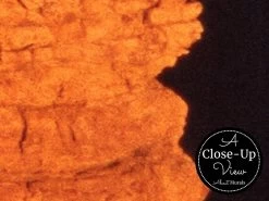 Grand Canyon Wallpaper -Wallpaper Mural Shop Grand Canyon Wallpaper Close up About Murals