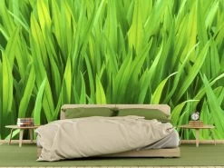 Grass Wall Wallpaper