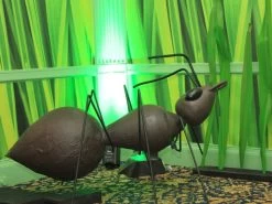 Green Grass Wallpaper For Walls 8 Green Grass Wallpaper For Walls -Wallpaper Mural Shop Green Grass Wallpaper Backdrop for Events About Murals