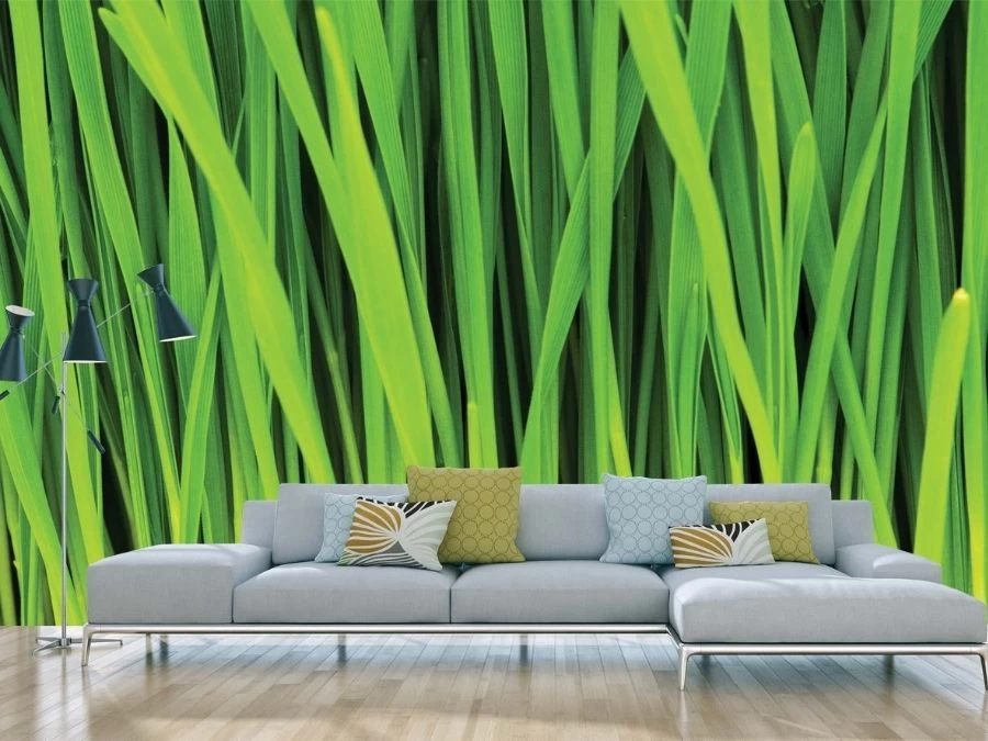 Green Grass Wallpaper For Walls 1 Green Grass Wallpaper For Walls