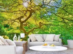 Green Japanese Maple Wallpaper
