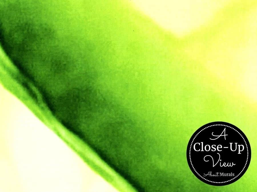 Green Lime Wallpaper 3 Green Lime Wallpaper - Image 3