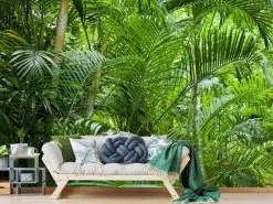 Green Rainforest Wallpaper