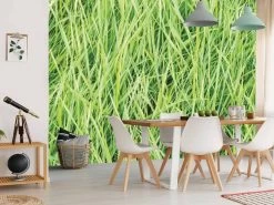 Green Reed Wallpaper