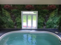 Green Waterfall Wallpaper -Wallpaper Mural Shop Green Waterfall Wallpaper Swimming Pool Area About Murals