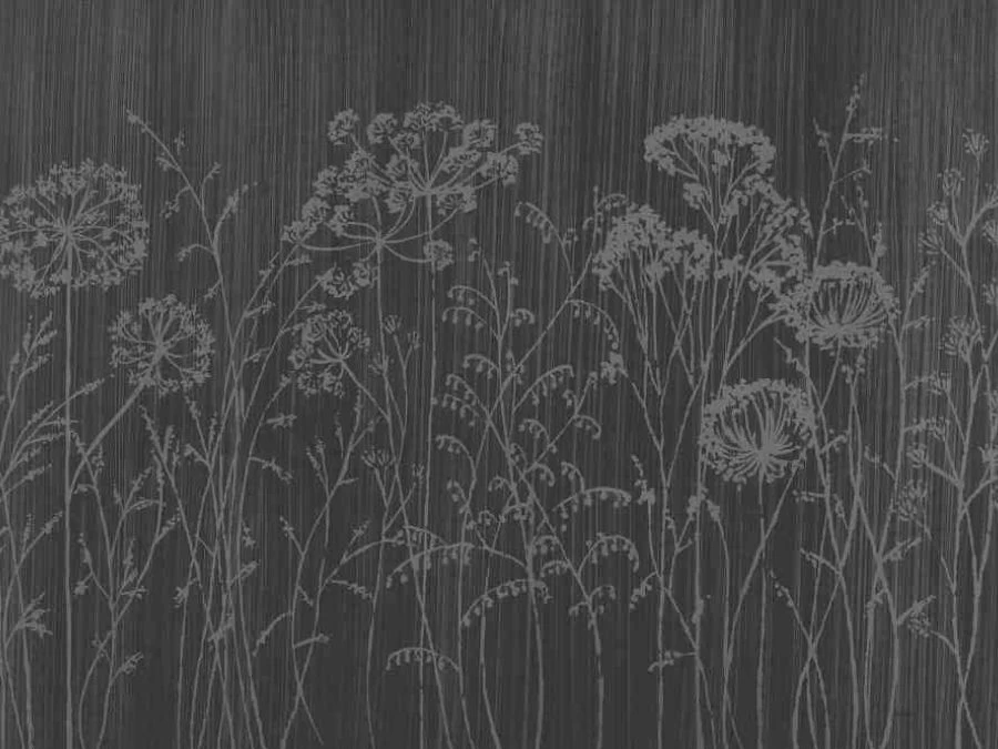 Grey Cow Parsley Wallpaper 2 Grey Cow Parsley Wallpaper - Image 2