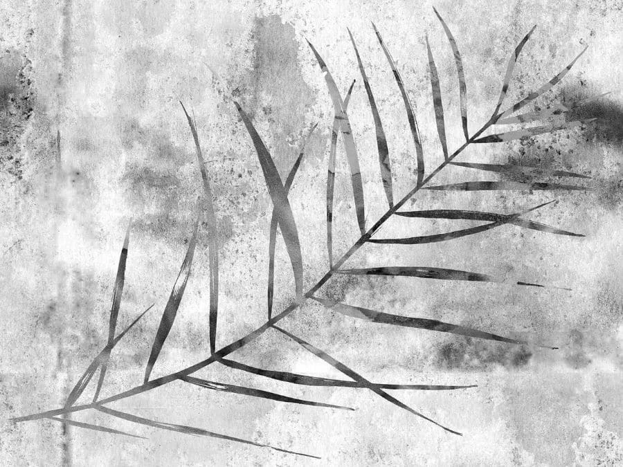 Grey Palm Leaf Wallpaper On Concrete 2 Grey Palm Leaf Wallpaper On Concrete - Image 2