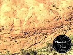 Horseshoe Bend Wallpaper -Wallpaper Mural Shop Horseshoe Bend Wallpaper Close up About Murals