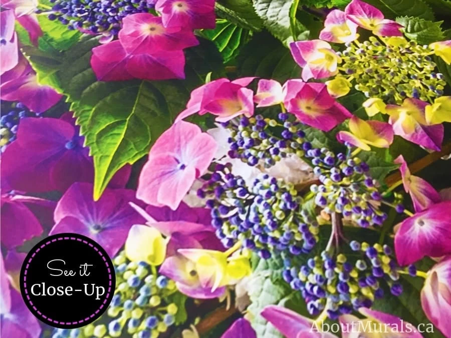 Hydrangea Wall Mural 4 Hydrangea Wall Mural - Image 4