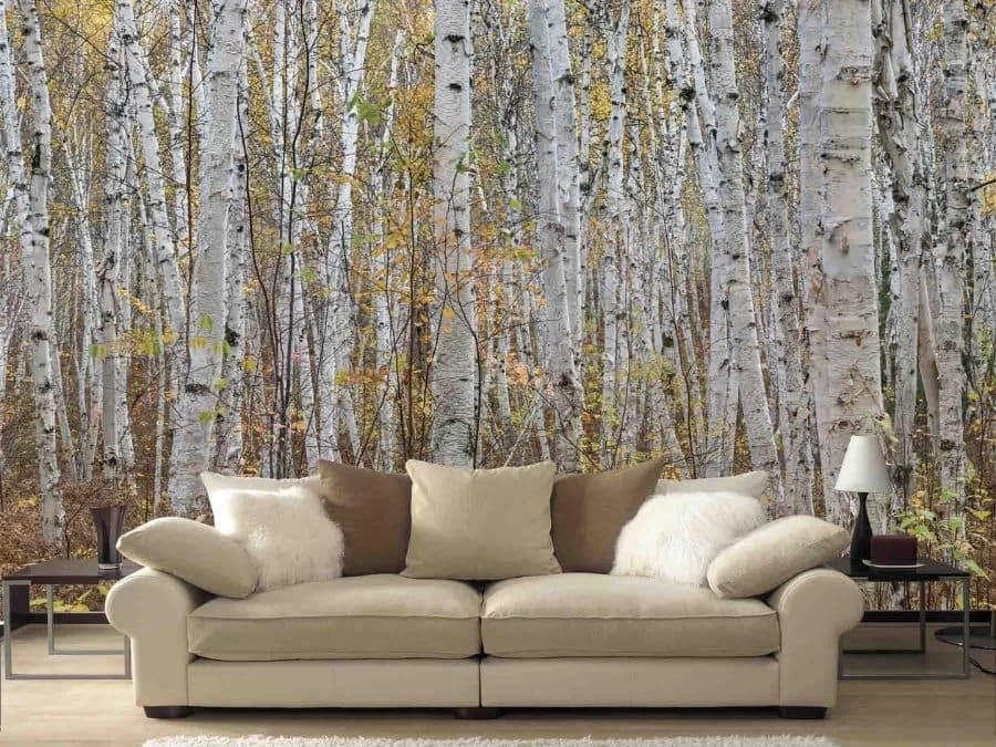 White Birch Wallpaper 1 White Birch Wallpaper