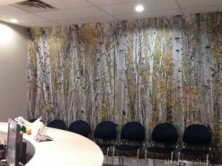 White Birch Wallpaper 14 White Birch Wallpaper -Wallpaper Mural Shop Infinite Birch Forest Wall Mural Reception Area min