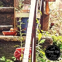 Italian Street Wallpaper 6 Italian Street Wallpaper -Wallpaper Mural Shop Italian Street Wallpaper Close up About Murals