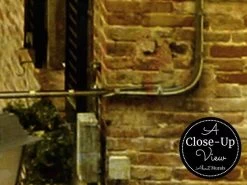 Italian Village Wallpaper 6 Italian Village Wallpaper -Wallpaper Mural Shop Italian Village Wallpaper Close up About Murals