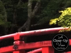 Japanese Temple Wallpaper 6 Japanese Temple Wallpaper -Wallpaper Mural Shop Japanese Temple Wallpaper Close up About Murals