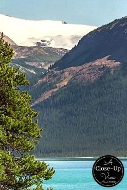 Jasper Wallpaper -Wallpaper Mural Shop Jasper Wallpaper Close up About Murals