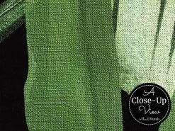 Jungle Leaf Wallpaper -Wallpaper Mural Shop Jungle Leaf Wallpaper Closeup About Murals.jpeg