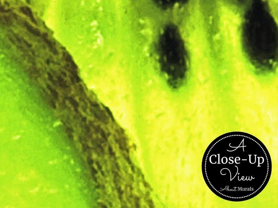 Kiwi Wallpaper 3 Kiwi Wallpaper - Image 3