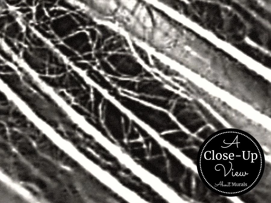 Large Dandelion Wallpaper 3 Large Dandelion Wallpaper - Image 3