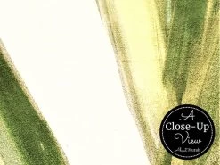 Light Green Botanical Foliage Wallpaper -Wallpaper Mural Shop Light Green Botanical Foliage Wallpaper Close up About Murals