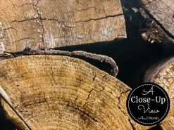 Log Wallpaper 8 Log Wallpaper -Wallpaper Mural Shop Log Wallpaper Close up View About Murals