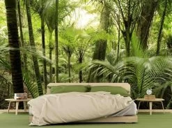 Lush Forest Wallpaper