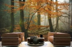 Moody Fall Wallpaper -Wallpaper Mural Shop Moody Fall Wallpaper Living Room About Murals