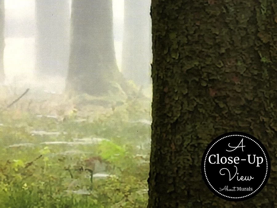 Moody Forest Wallpaper 3 Moody Forest Wallpaper - Image 3