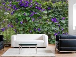 Morning Glory Wallpaper 8 Morning Glory Wallpaper -Wallpaper Mural Shop Morning Glory Wallpaper Living Room About Murals