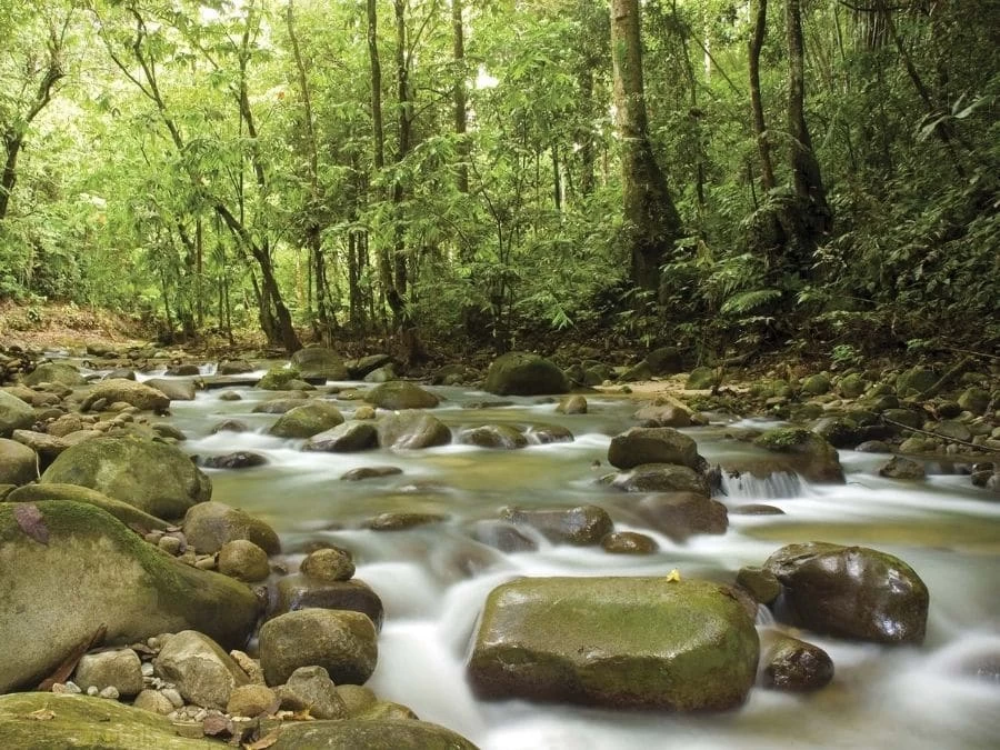 Mountain Stream Wall Mural 2 Mountain Stream Wall Mural - Image 2