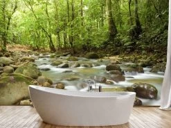 Mountain Stream Wall Mural