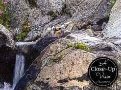 Mt Rainier Wallpaper -Wallpaper Mural Shop Mt Rainier Wallpaper Close up About Murals