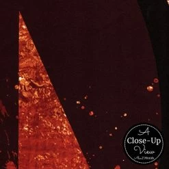 NYC Graffiti Wallpaper -Wallpaper Mural Shop NY Letter Wallpaper Close up About Murals