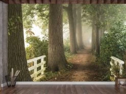 Nature Trail Wallpaper