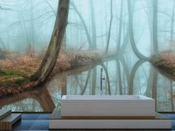 Nature Forest Wallpaper