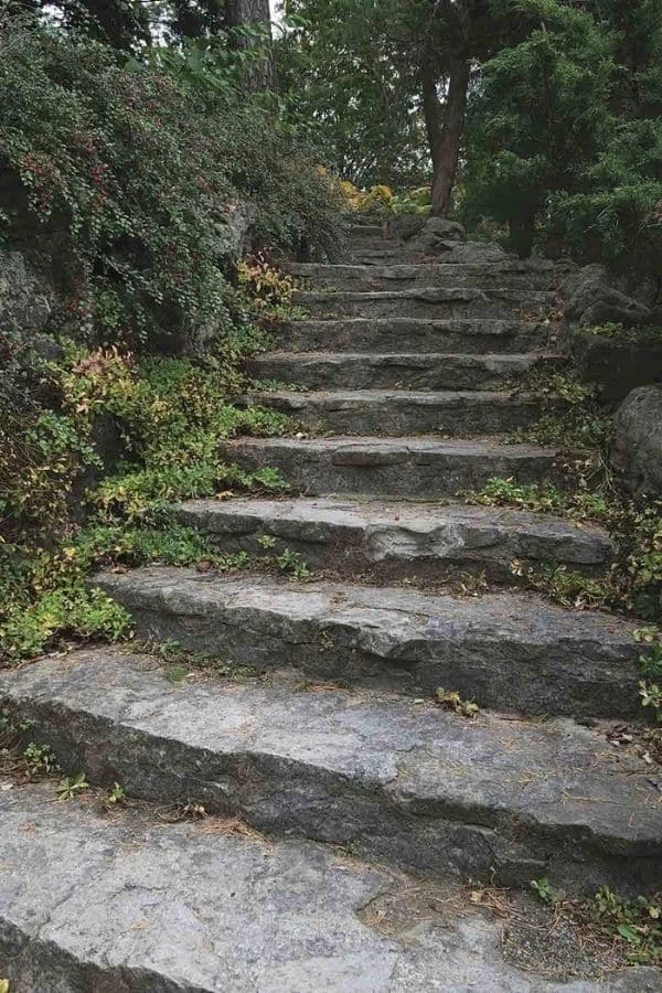 Nature Stairs Wallpaper 2 Nature Stairs Wallpaper - Image 2