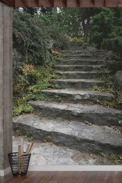 Nature Stairs Wallpaper