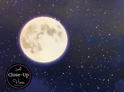 Night Sky Mural -Wallpaper Mural Shop Night Sky Mural Close Up 1 min